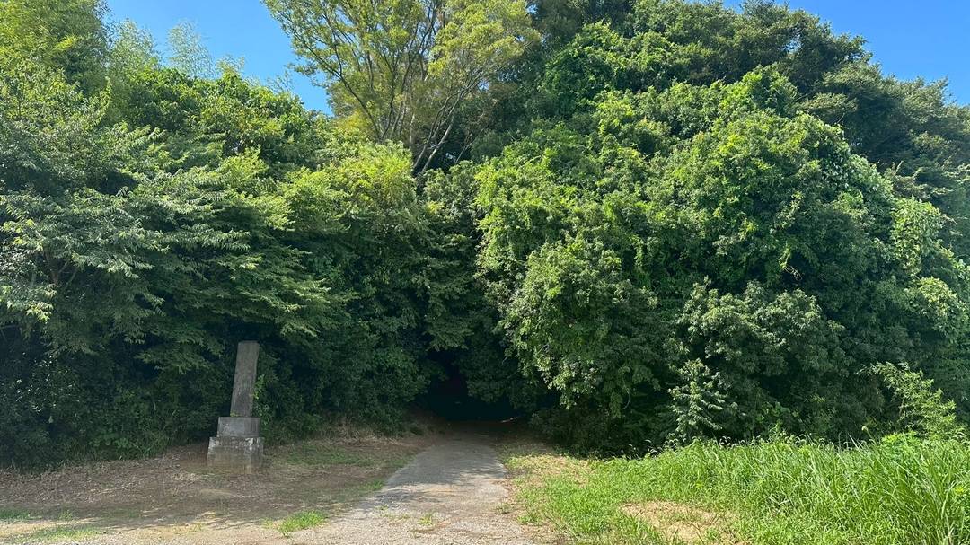 ギャラリー写真