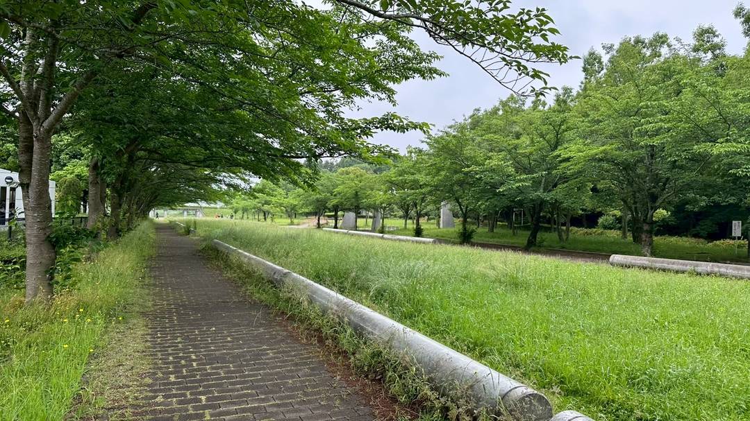 ギャラリー写真