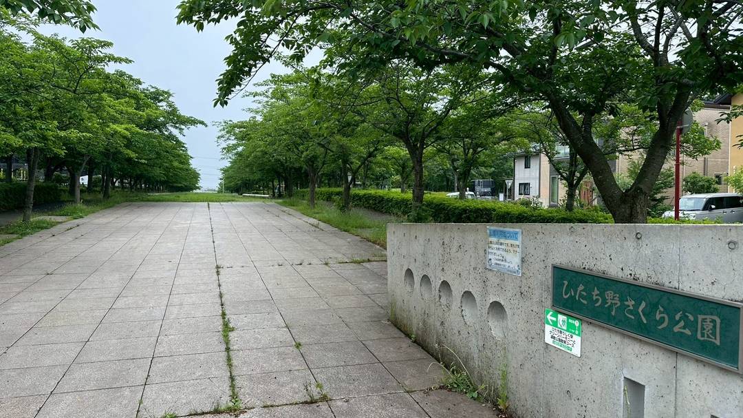 ギャラリー写真
