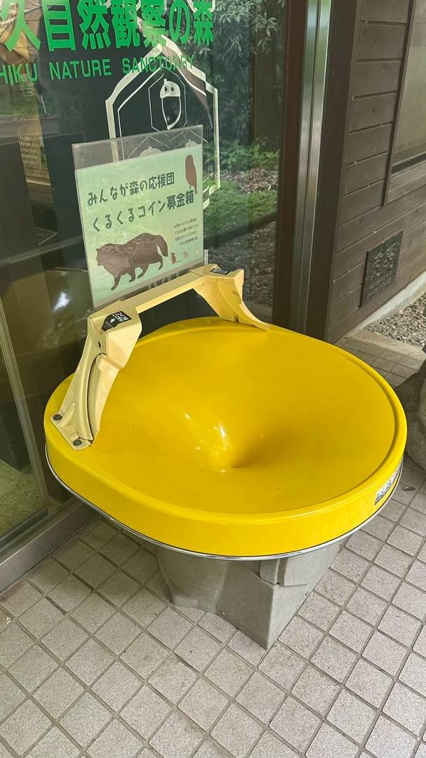 ギャラリー写真