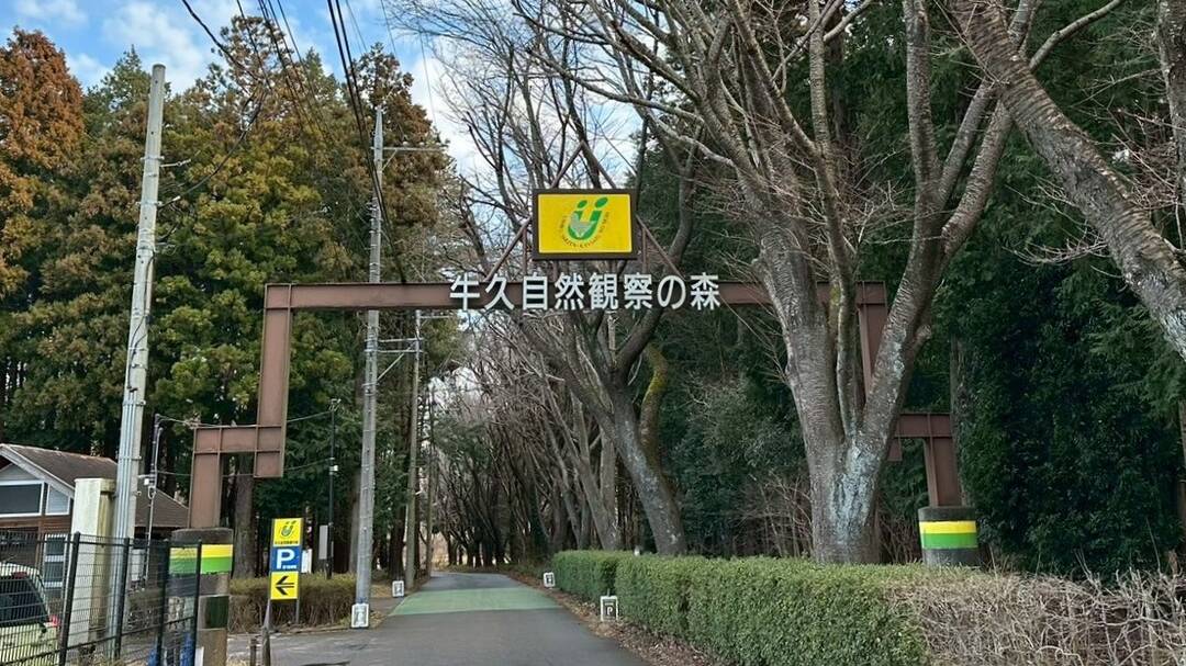 ギャラリー写真