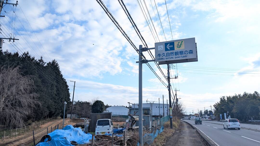 ギャラリー写真