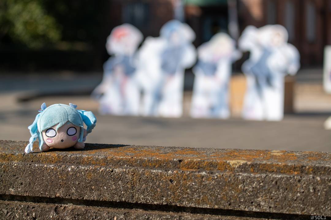 ギャラリー写真