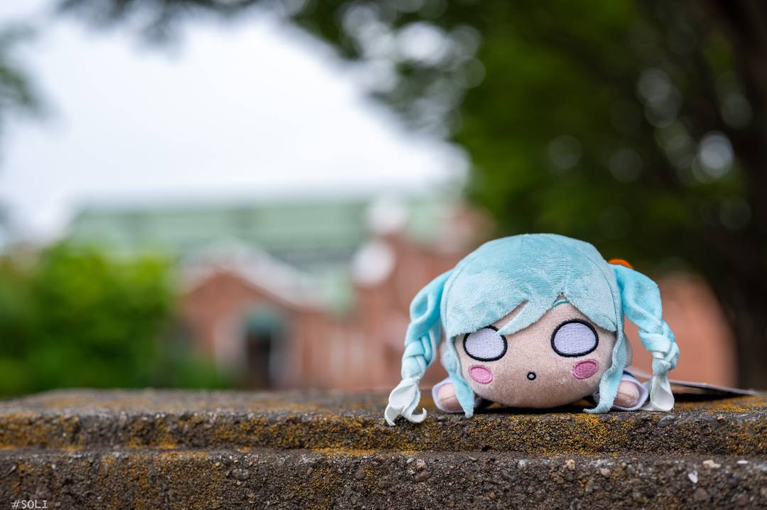 ギャラリー写真