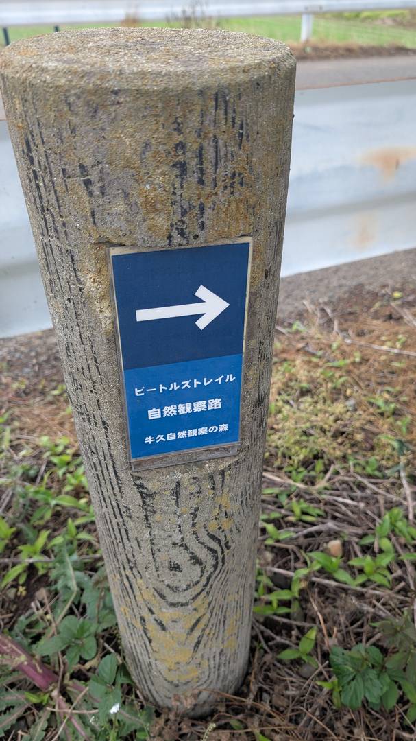 ギャラリー写真