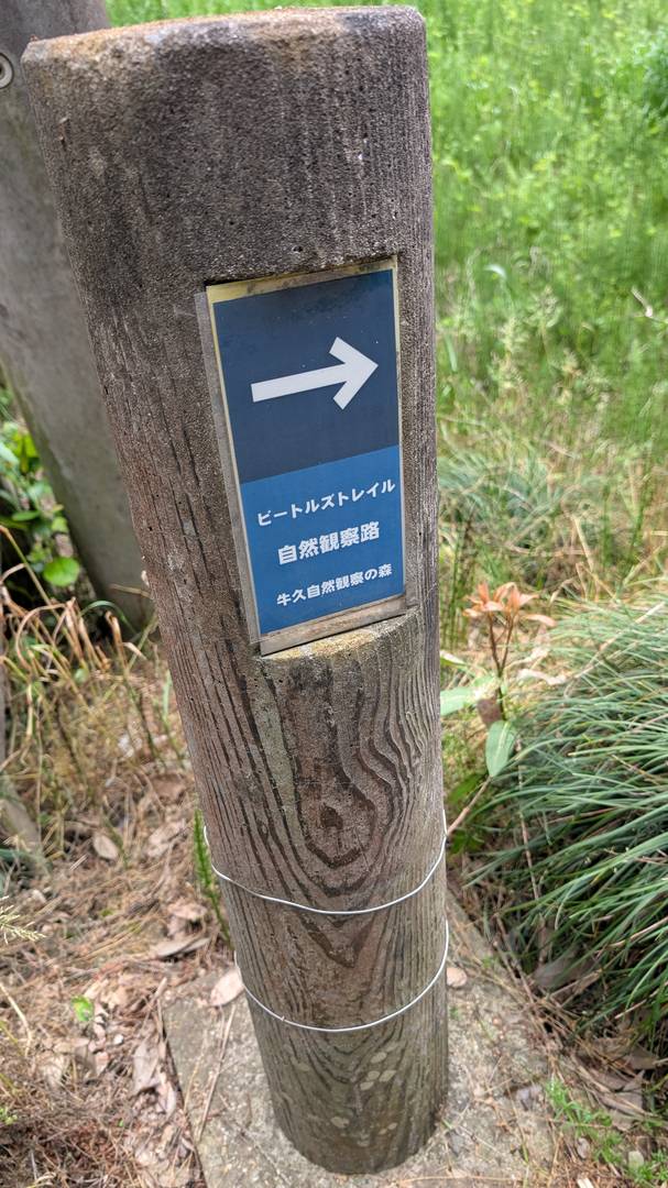 ギャラリー写真