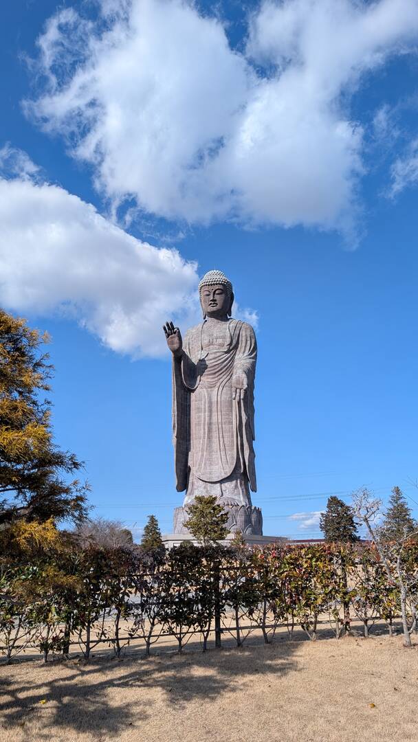ギャラリー写真
