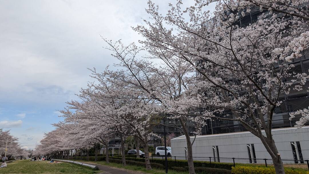 ギャラリー写真